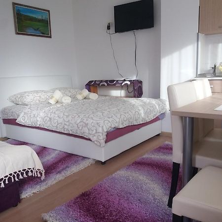 Apartment Bucic Ζλάτιμπορ Δωμάτιο φωτογραφία
